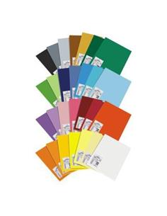 CARTULINA A4 CANSON GRIS PLOMO 200040178 2