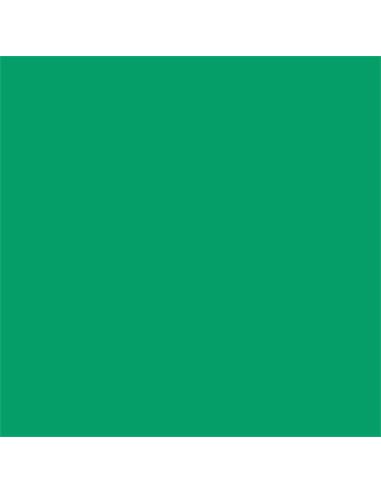 CARTULINA VERDE MENTA CANSON 400080160