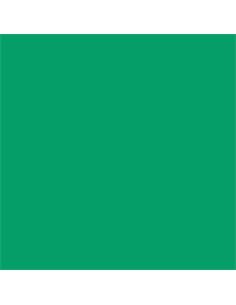 CARTULINA A4 CANSON VERDE MENTA 400108142