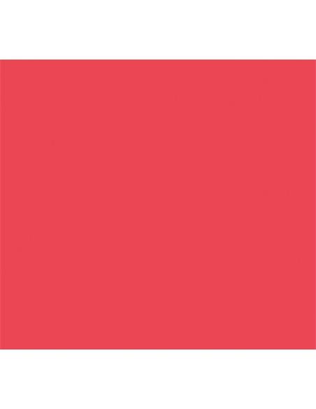 LAMINA GOMA EVA 40x60 ROJO