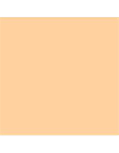 LAMINA GOMA EVA 40x60 CARNE