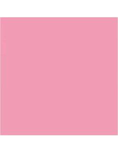 LAMINA GOMA EVA 20x30 ROSA