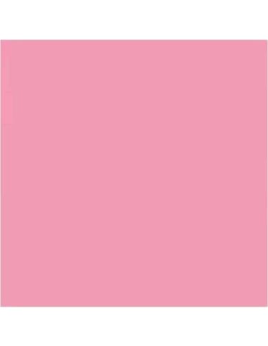 LAMINA GOMA EVA 20x30 ROSA