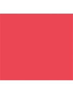 LAMINA GOMA EVA 20x30 ROJO