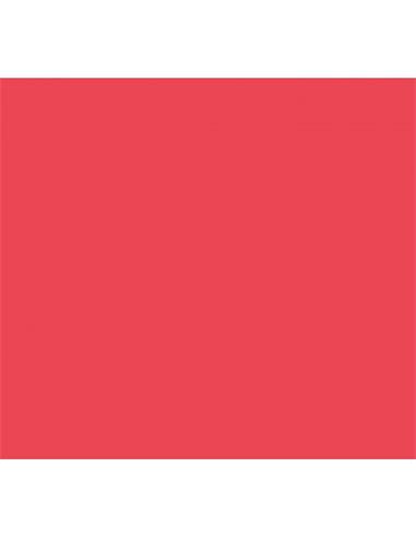 LAMINA GOMA EVA 20x30 ROJO