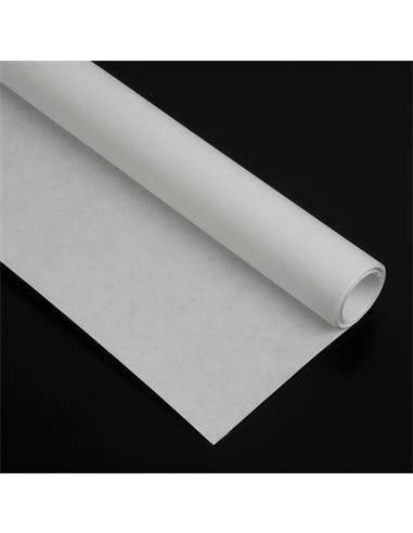 ROLLO PAPEL KRAFT 5MTS.BLANCO