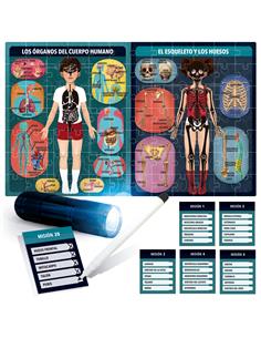 THE HUMAN BODY UNDER HEADU ES28153 2