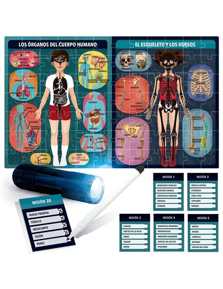 THE HUMAN BODY UNDER HEADU ES28153
