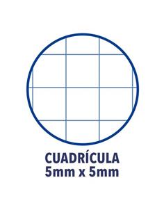 BLOCK OXFORD A4+ 120H 90 GR 400158599 2