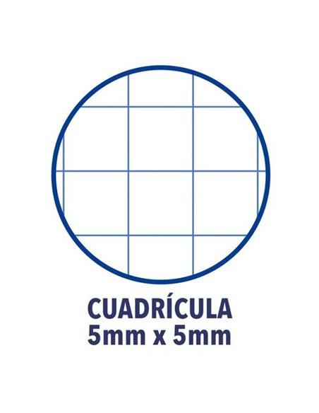 BLOCK OXFORD A4+ 120H 90 GR 400158599