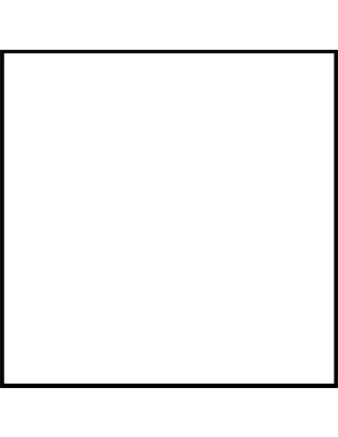 CARTULINA A3 CANSON BLANCO 200040180