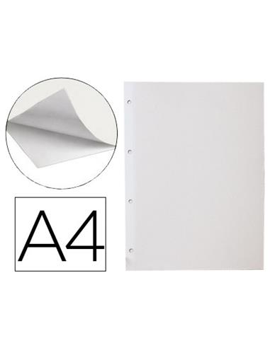 HOJAS ALBUM FOTOS ADH. LIDER 74259